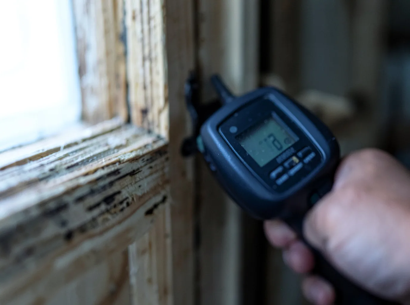 Moisture Inspection And Documentation in Angora, NE